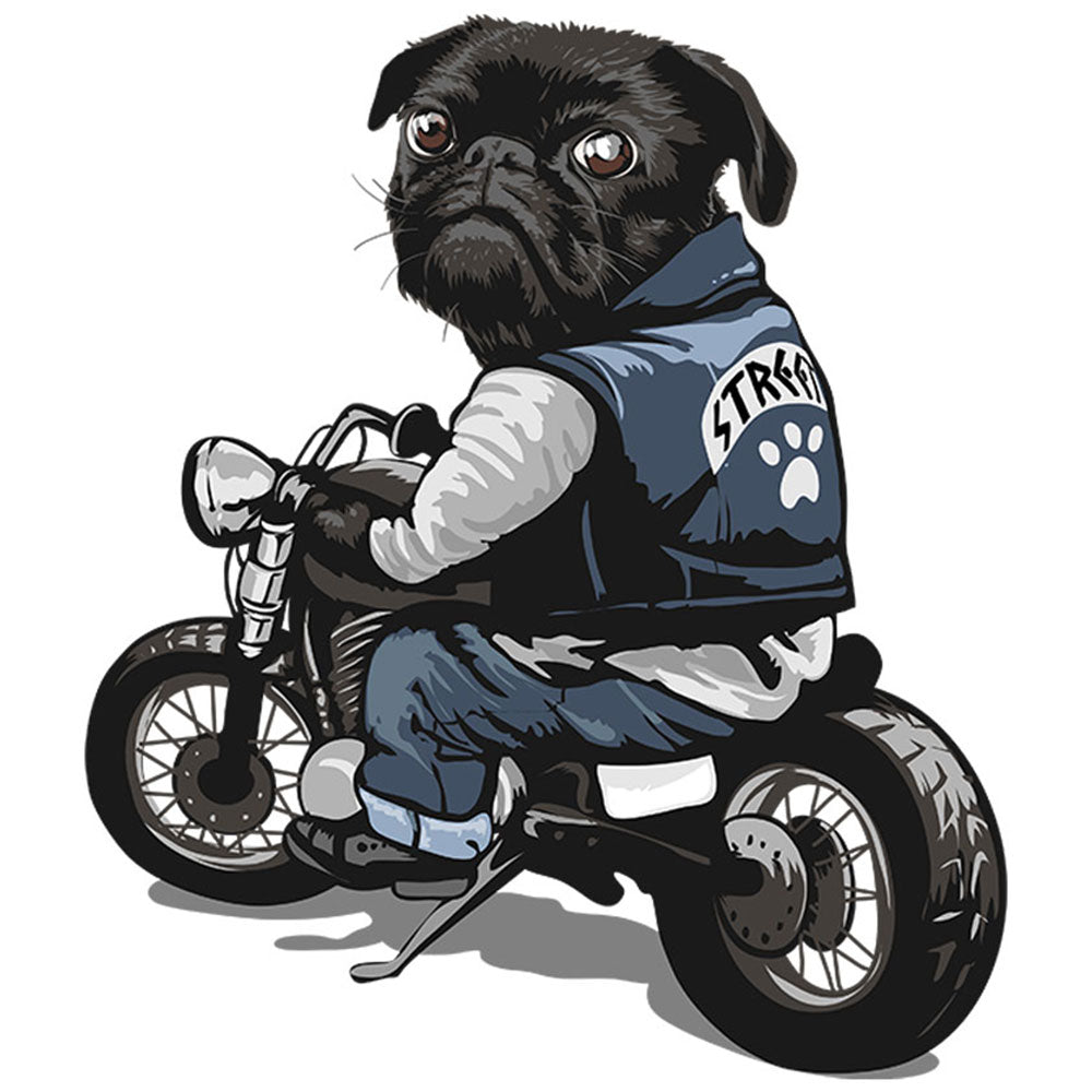 Strykemerke – Kul pug på motorsykkel, Patches, DTF-Strykemerke, Strykemerker til klær, Dyr strykemerke, Søte strykemerker, hund strykemerke, morsomme strykemerker