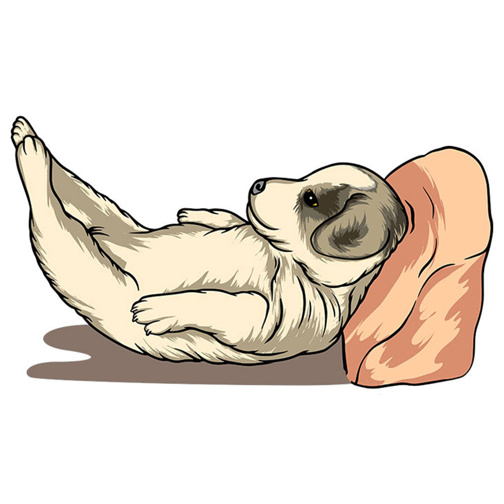Strykemerke – Slapphund, Patches, DTF-Strykemerke, Strykemerker til klær, Dyr strykemerke, Søte strykemerker, hund strykemerke, morsomme strykemerker